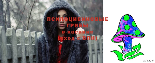 mdpv Белокуриха
