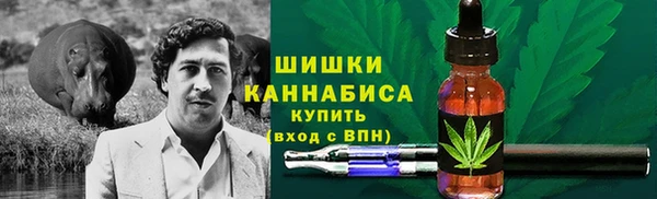 mdpv Белокуриха