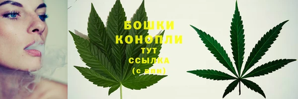 mdpv Белокуриха