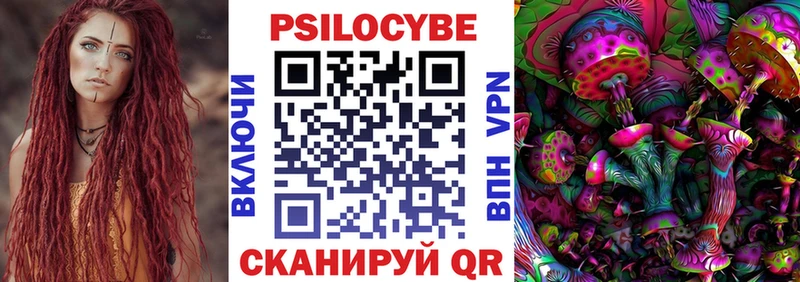 Галлюциногенные грибы Psilocybine cubensis Гремячинск