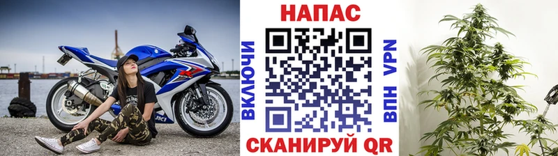 Каннабис OG Kush  ссылка на мегу ссылки  Гремячинск  закладка 